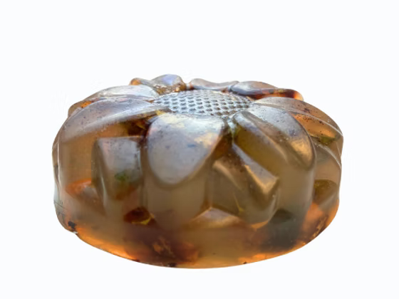 SS - Roses Fusion  اس اس روزيس فيوشان